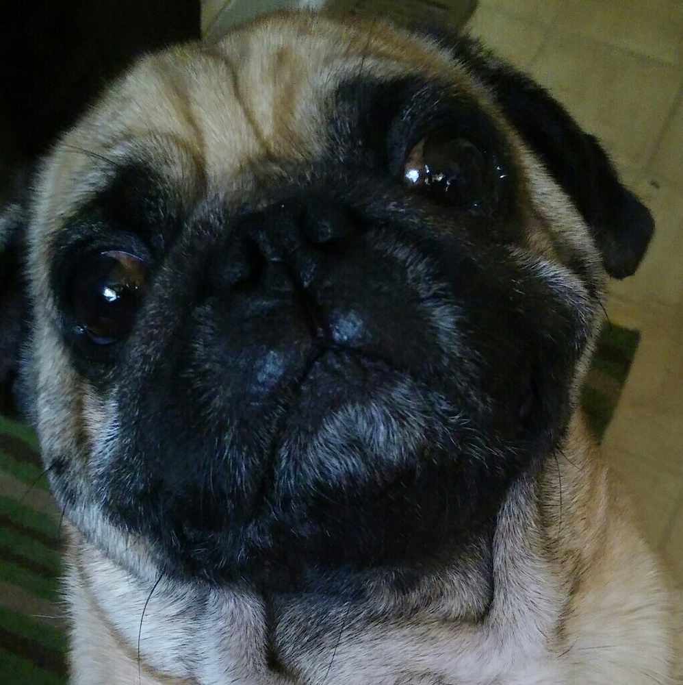 Meet your Posher, Debra